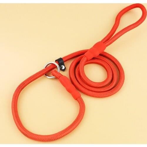 20 Pieces/Lot) New Automatic Tightening P Chain Nylon Dog Leashes and Lead for Pets
