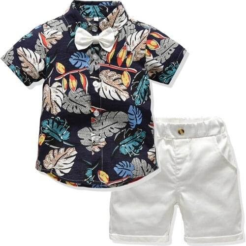 Children Tracksuit 2019 Hawaii Kid Boys Clothes Set Short Sleeve Floral T-shirt+Short Pants 2pcs Baby Boy Beach Clothes Set