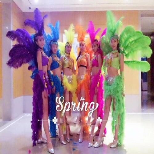 Samba costume Sexy carnival opening show costume ostrich hair stage show dance wear