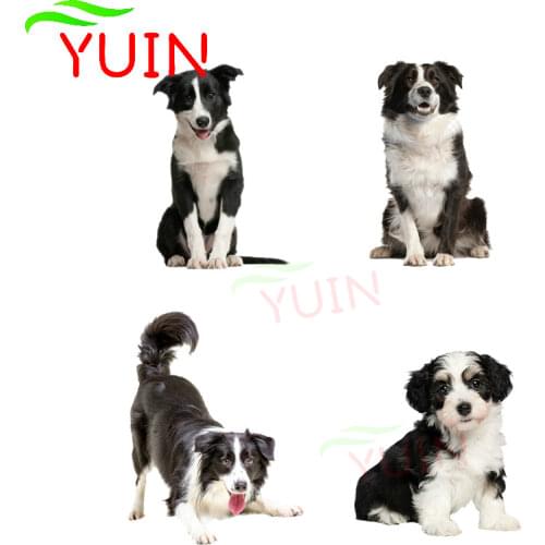 Fashion Border Collie Dog Car Sticker Waterproof Cover Scratch Decal Laptop Truck Motorcycle PVC Auto Accessories Decals 15*12cm
