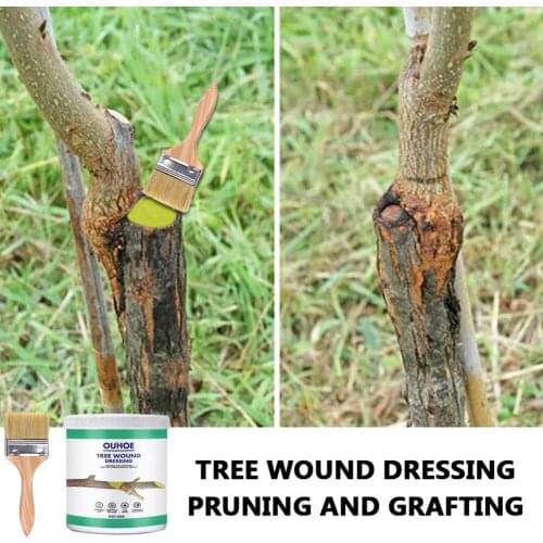 Tree Wound Sealer 30g Tree Wound Pruning Sealer with Brush Bonsai Modeling Branch Pruning Wound Quick Recovery