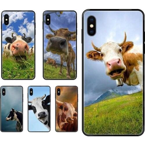 Cow Face Head Funny Cartoon Animal For Samsung Galaxy A70 A71 A70E A5 A6 A7 A8 A10 A10S A20 A20S A20E A21S A30S A40 A50 Black