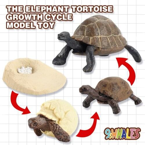 Educational Toy Simulation Animals PVC Elephant Tortoise Growth Cycle Scene Design Simulation Powder Toy Decoration Gift