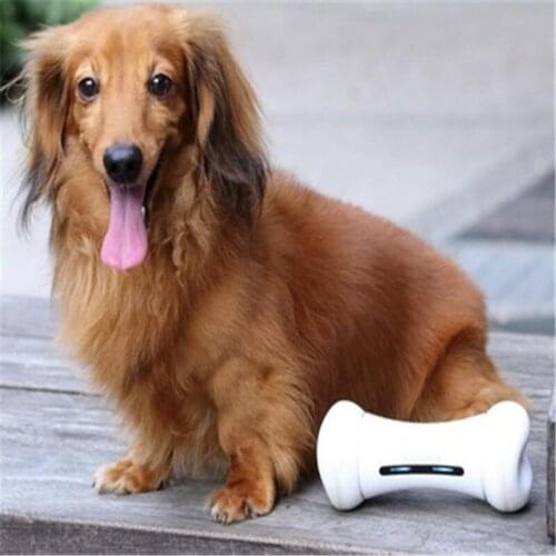 Cheerble Wickedbone Intelligent Dog Fighting Toy Molars