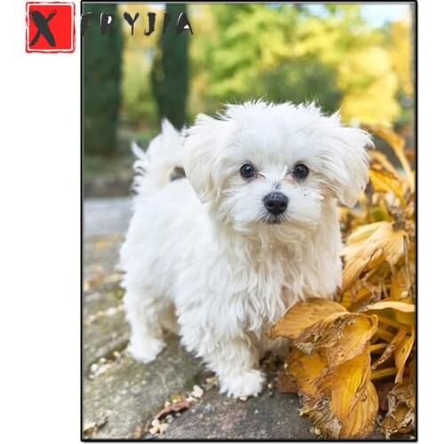 Diamond embroidery Maltese full square round drill diamond painting diy diamond Rhinestone mosaic animal dog Leaves home decor