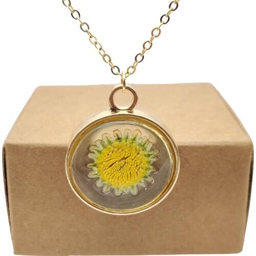 Zareate Women's Medallions