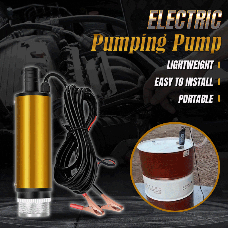 Multifunctional Mini Car Electric Oil Pump 12V 24V For Pumping Diesel Oil Water Submersible Aluminum Alloy Shell 12L/min Fuel Tr