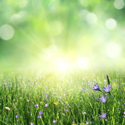 Flower spring photo backgrounds vinyl Fantasy kids outdoor photography backdrops for photo Studio accessories photophone F-1057