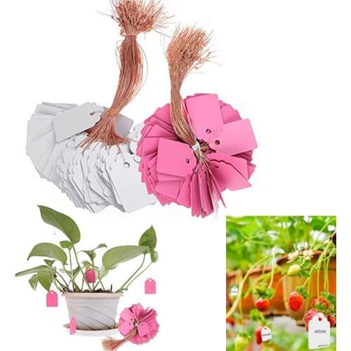 100Pcs/Set Plants Hang Tag Labels Reusable PVC Potted Plants Marker DIY Garden Flower Pot Plastic Tags Hangting Garden Tools