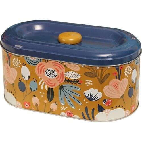 Desktop Cosmetics Storage Box with Lid Small Iron Box Household Living Room and Kitchen Coffee Table Snack Office Storage Box