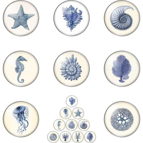 Sea World Animals Sea Horse Starfish Round Photo Glass Cabochon Demo Flat Back Making Findings Handmade DIY Accessories