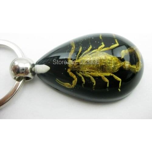 Free Shipping High Quality 10 PCS Black Lucite Teardrop Keychain Fashion GENUINE Golden Scorpion TAXIDERMY GL01