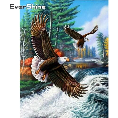 EverShine Eagle Diamond Painting Full Drill Square Animals Diamond Embroidery Sale Cross Stitch Hobby Art Gift Wall Decor