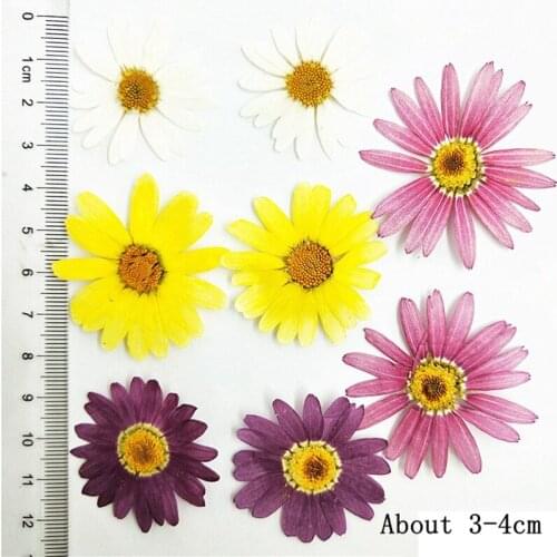 80pcs Nature Pressed Margaret Eternal Flowers Eternal Rose DIY Nail Art Decoration Flora Gel Manicure Stickers DIY Bookmark Gift