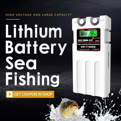 14.8v 11600mAh Large Capacity Lithium Battery for Electric Reels Sea Fishing Boat Lights Portable Energy+1A Charger Bag Straps