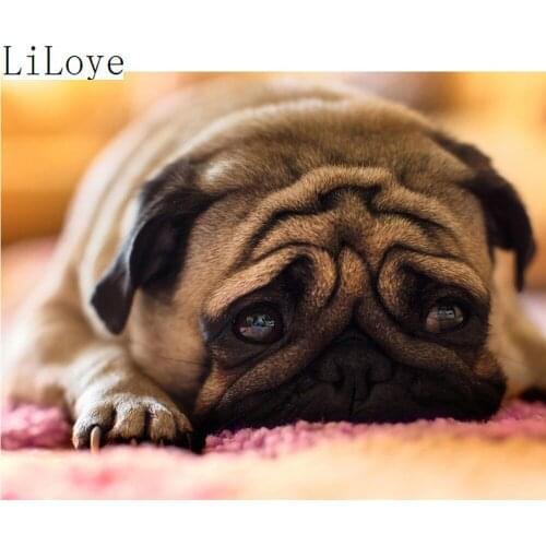 LI LOYE 5D DIY Diamond Painting Cross Stitch Animal icon Crystal Diamond Embroidery Puppy mosaic Pattern handcrafted Decor FZ461