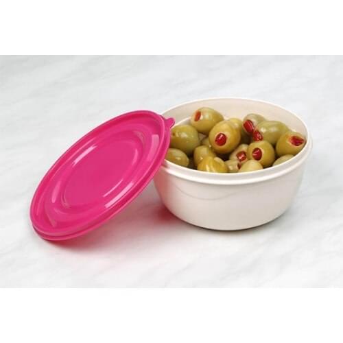 Storage Container 0,85 21597S