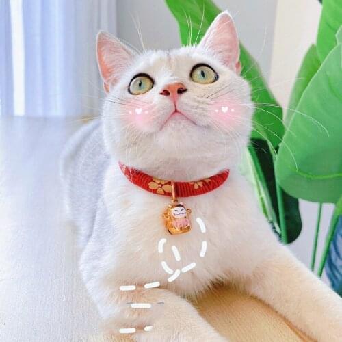 Print Padded Cotton Cat Kitten Collar Bow Pendant Japanese Style Golden Dog Pet Bib Chain Necklace Neckband All Season Pechincha