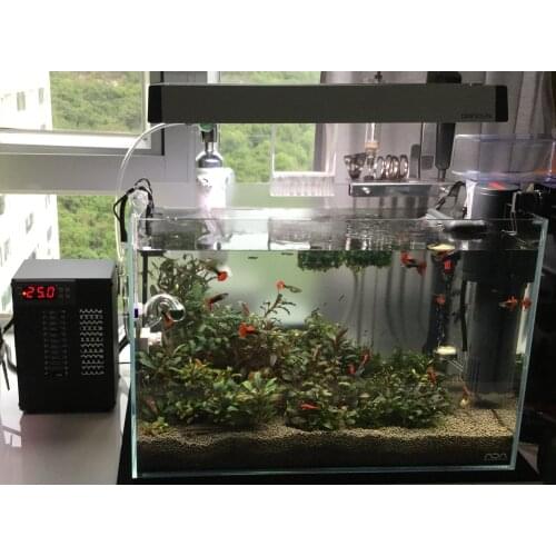 Constant Temperature Adjustable Semiconductor Electronic Chiller Small and Micro Chiller Aquarium 35 Liter Fish Tank Circulating