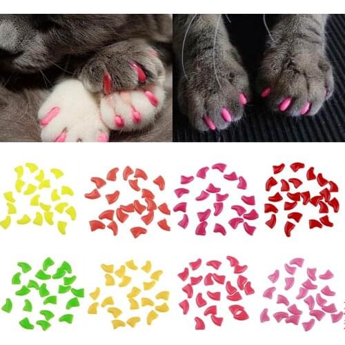 Cat Paw Popular Cat Supplies High Quality Cat Nail Caps Pet Nail Protector With Glue Soft Silicone Cat Nail Cover 20PCS/Set
