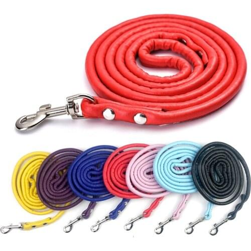 PU Leather lesds Rope Dog small dog leash chain round multicolour Traction Rope puppy Walking Training medium pet cat Leash Lead