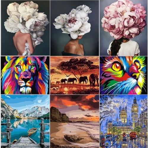 Painting By Numbers Figure Animal Landscape Picture Diy Paint By Number Modern Digital Handpainted Oil Painting