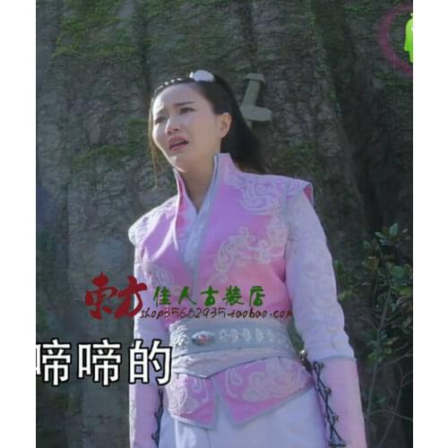 Liu Si Tong Pink Embroidery SwordLady Costume 2015 New TV Play Shu Shan Zhan Ji Actress Same Design Costume for Women