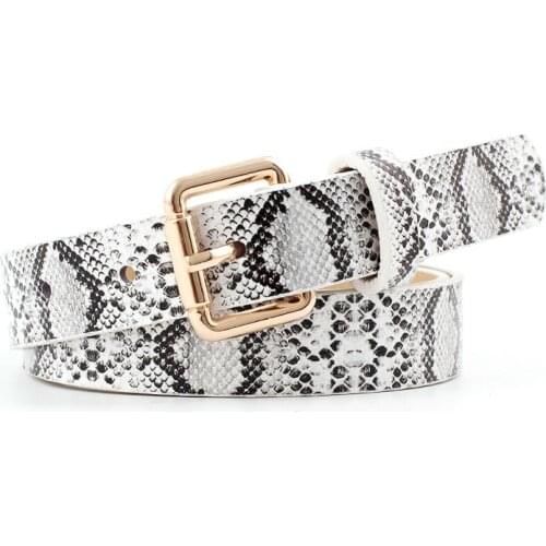 105x2.3cm High Quality Female Pu Leather Snake Waist Belt Women 2021 Hot Designer Belts for Womens Dress Cinto Feminino