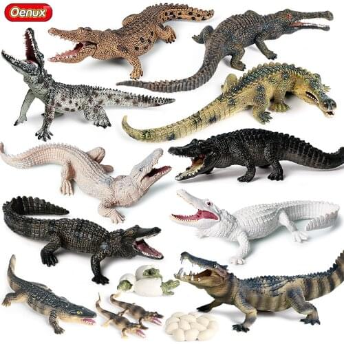 Oenux Reptiles Wild Animals Savage Boar Croc Action Figures Simulation Crocodile Growth Cycle Model Figurines Collection Kid Toy