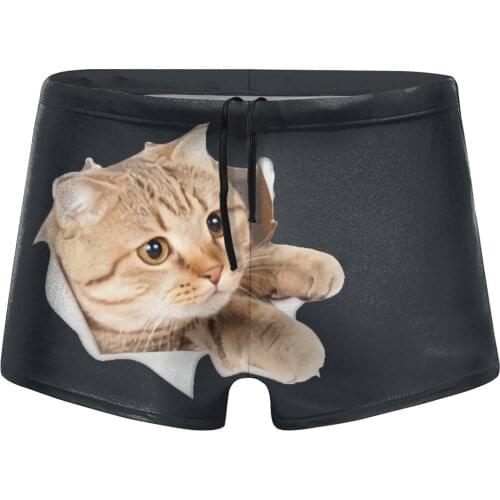 Men Cat lovers swimwear Australian Sub Fog Cat swimsuits Boy for the sea Pool