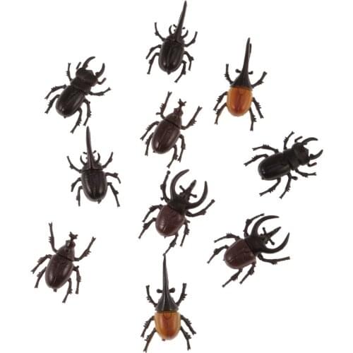 10pcs Plastics Beetle Model For Kids Halloween Party Decoration