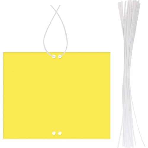 20pcs Sticky Fruit Fly Traps Dual-Sided Sticky Traps Plant Fly Catcher For Aphids Gnats Whiteflies Drosophila Trap Non-Toxic