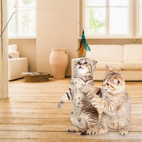 Interactive Toy For Teasing Cats Extensible Fishing Rod Cat Stick Best Gift For Cat Pet Cat Supplies Color Random