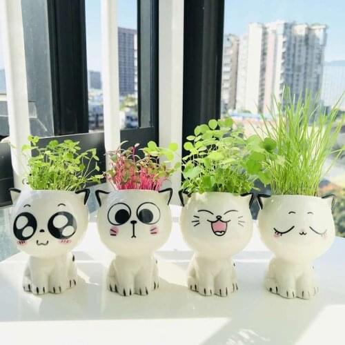 Mini Cat Shaped Ceramic Flowerpot Cartoon Cute Hand Diy Desktop Potted Plant Desk Decorate Small Ornaments