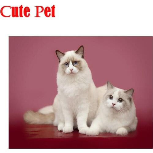 Ragdoll Diy all Diamond Painting 5d contracted modern Art Cross Stitch Home Decoration diamond Mosaic Diamond Painting