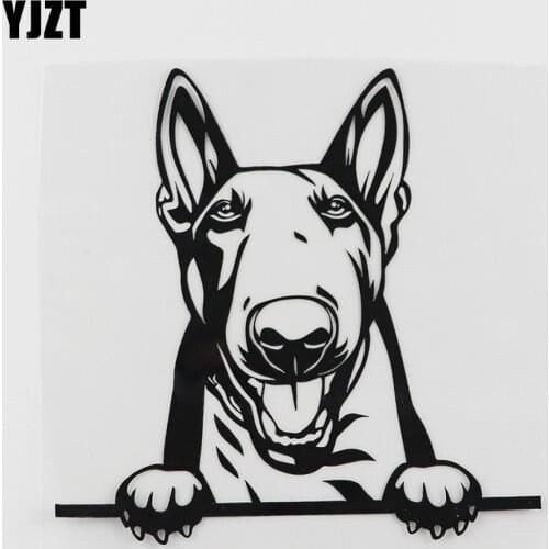 YJZT 14CMX13.6CM Cute Bull Terrier Peeking Dog Vinyl Car Sticker Black/Silver 8A-0170