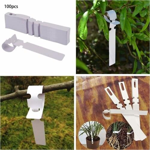 100 Pcs White Plastic Plant Tree Tags Nursery Garden Lables 2x20cm Wrap Around Hanging Tags Nursery Garden Stakes Large Writing