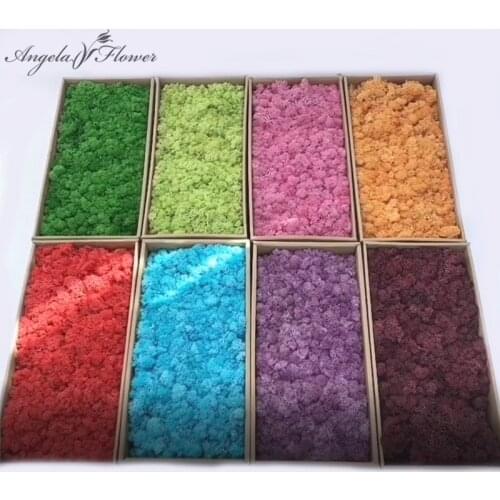 Cheap 200/500/1000g HI-Q artificial Immortal moss grass green plants fake flower DIY decor for home landscape plants wall garden