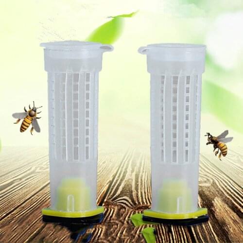 1/10sets Beekeeping Queen Rearing System Plastic Bee Protection Cover Protective Cell Bees Tools Supply Bees Apiculture