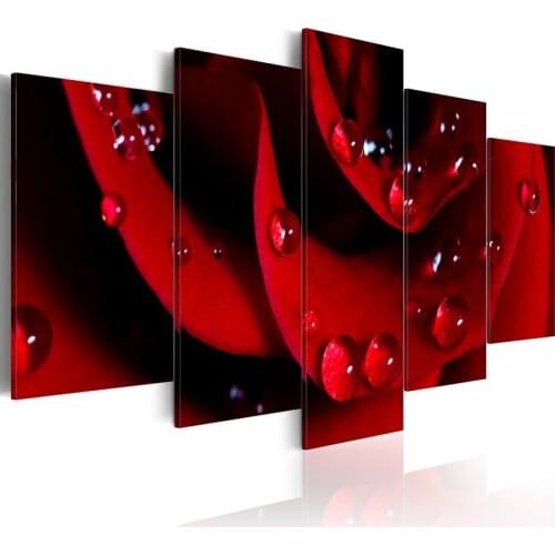 5 Panel Wall Pictures for Living Room Picture Print Painting On Canvas Wall Art Home Decor Living Room Canvas Print/PJMT-B (58)
