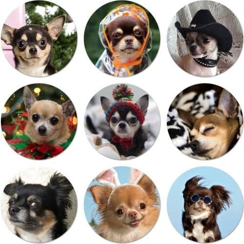 58mm Cute Chihuahua Puppy Dog Icons Pins Badge Decoration Brooches Metal Badges For Backpack Decoration