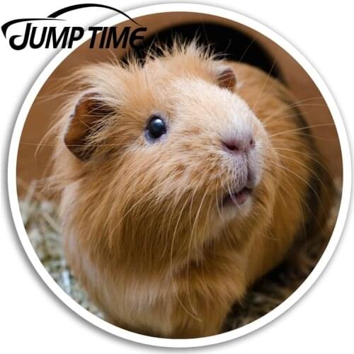 Jump Time for Cute Ginger Guinea Pig Vinyl Stickers Sticker Laptop Luggage Decal Window Tank Waterproof Car Decoration
