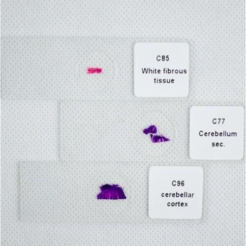 Microslides Prepared Slides