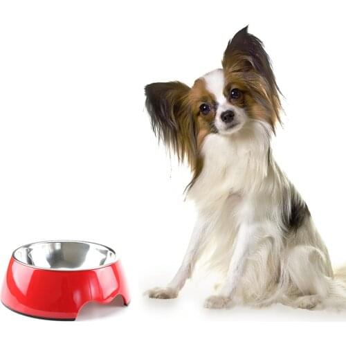Muti Colors Solid Melamine Plastic Stainless Steel Dog Bowl Dog and Cat Feeder Pet Dinner Dish Feeding and Watering