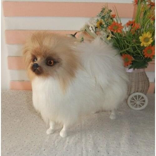 Cute simulation Pomeranian dog model toy Polyethylene&fur Pomeranian dog doll gift about 23x20x9cm 1828