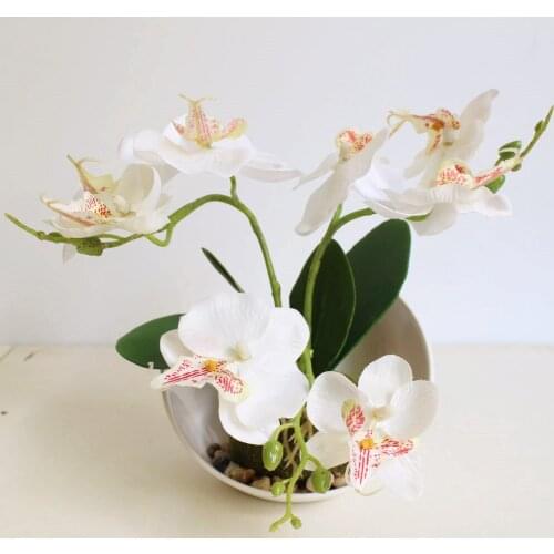 Trident Phalaenopsis Creative Bonsai Simulation Flower Manufacturers Simulation Plant Potted Plants