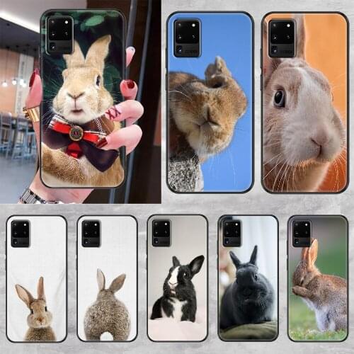 Cute Rabbits Baby Phone case For Samsung Galaxy Note 4 8 9 10 20 S8 S9 S10 S10E S20 Plus UITRA Ultra black art back trend