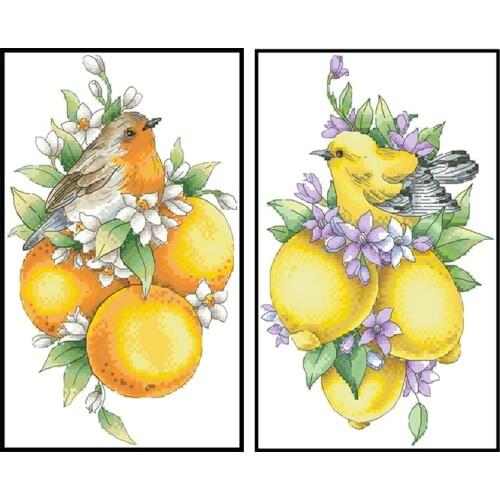 Fruit Bird Counted Cross Stitch Kits Patterns Printed Fabric Embroidery Needlework Sets 11CT 14CT DIY Needlework Craft Paintings