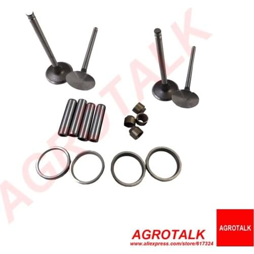 Set of intake + exhaust valves + valve guides + valve seals + valve seats for Taishan Feidong FD295T / FD2100T for TS tractors