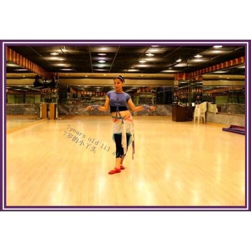 Gothic Tribal belly dance strip Belt hip wrap tribal belly dance Scarf BL147